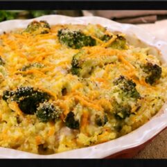 Y-Foods Chicken Broccoli Bake 300g